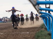 اعلام زمان انتخابات فدراسیون سوارکاری