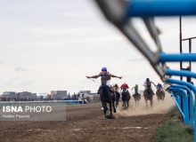 اعلام زمان انتخابات فدراسیون سوارکاری