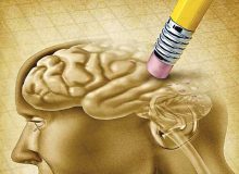 این مواد غذایی شما را از کاهش حافظه نجات می‌دهد