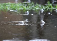 باران و برف فارس را فرا می‌گیرد