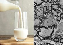 برای تامین کلسیم روزانه مورد نیاز بدن چه موادغذایی مصرف کنیم؟