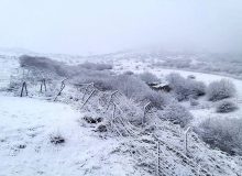 برف در تهران دردسرساز شد