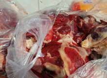 خارج شدن بیش از ۵ تن گوشت گوساله از چرخه مصرف انسانی