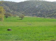 رفع تصرف ۴ هزار متر مربع از اراضی ملی رودسر