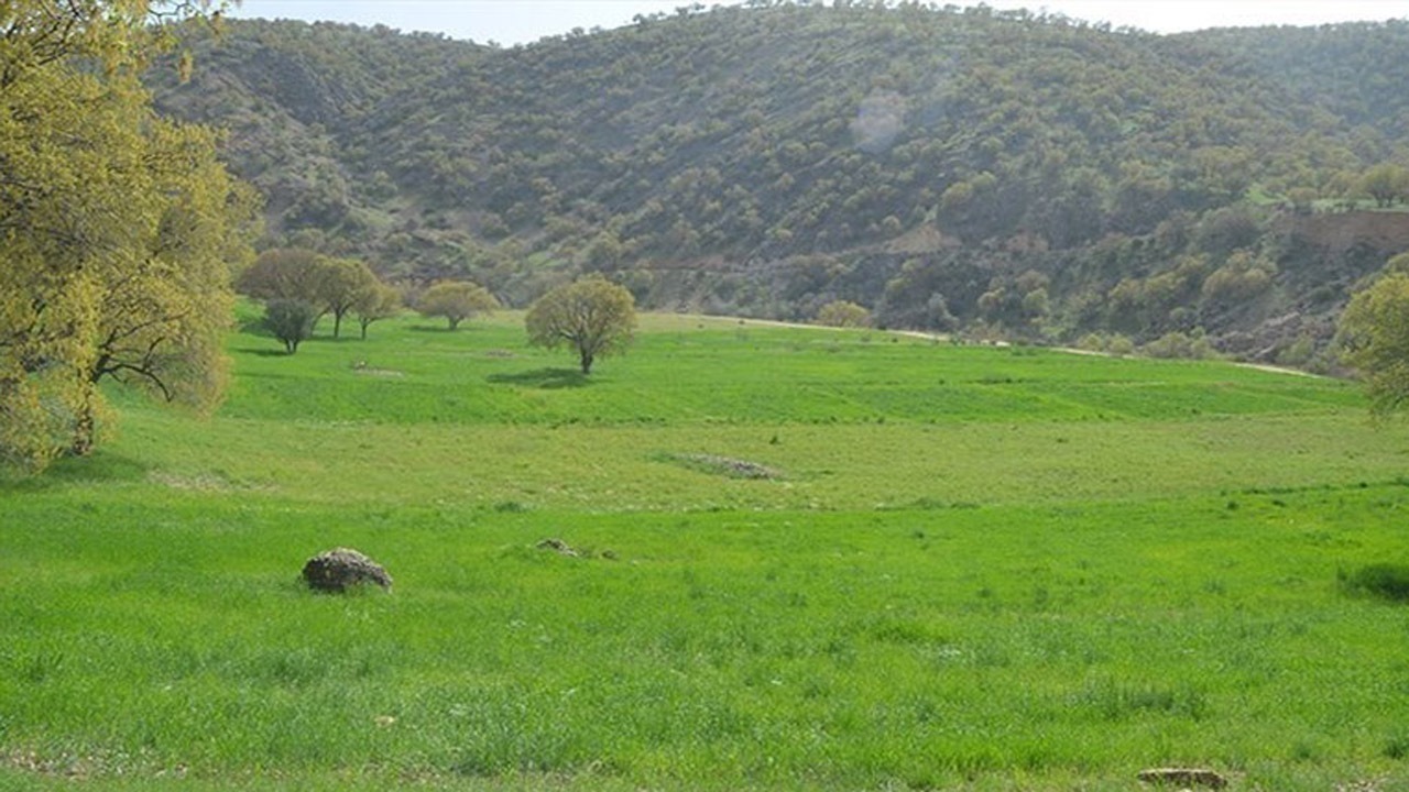 رفع تصرف ۴ هزار متر مربع از اراضی ملی رودسر