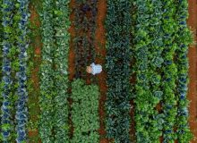 سود ۱۰ تریلیون دلاری سالانه با حرکت به سمت سیستم‌های غذایی پایدار