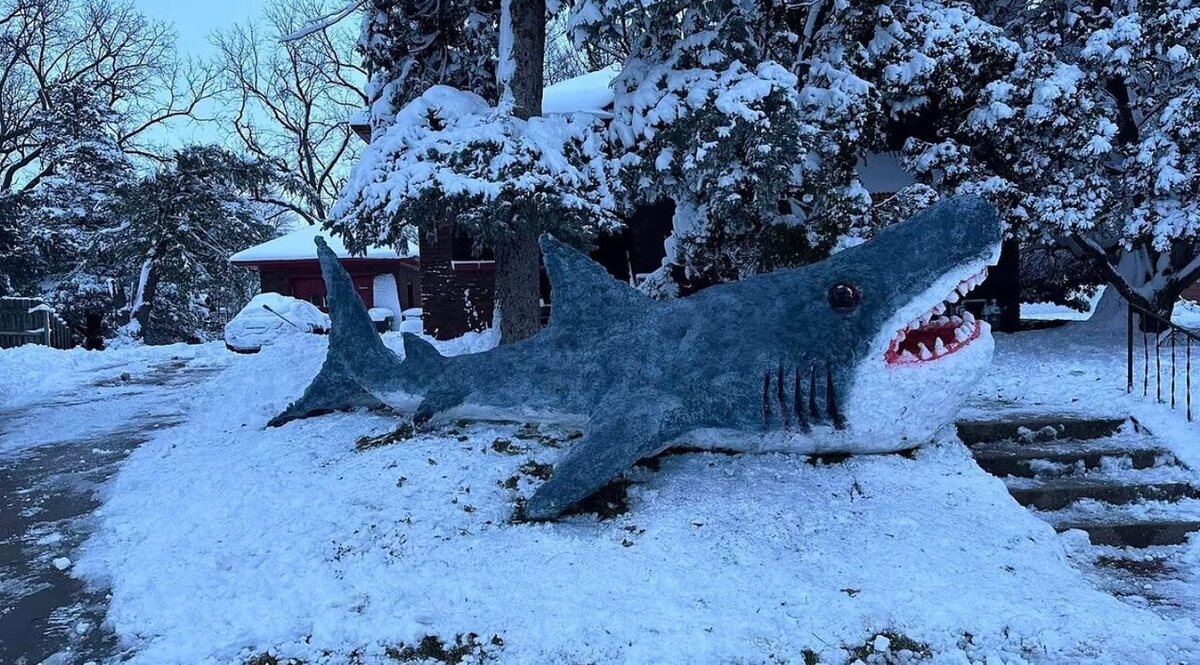 عکس| این مجسمه برفی تبدیل به یک جاذبه گردشگری شد