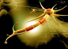 فراخوانی برای توسعه دانش فنی در حوزه علوم اعصاب بالینی