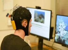 «فیروزگر» میزبان مرکز ملی مغز برای توسعه فناوری‌ سلامت مغز/برنامه ۵ ساله برای تولید فناوری