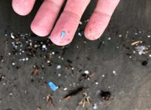 وجود میکروپلاستیک‌ها در رودخانه‌های منتهی به جنوب ‏دریای خزر