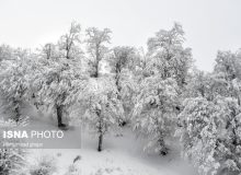 ورود سامانه هوای سرد و بارش برف در ارتفاعات مازندران