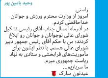 یامین‌پور از وزارت ورزش به شورای عالی نوجوانان و جوانان رفت