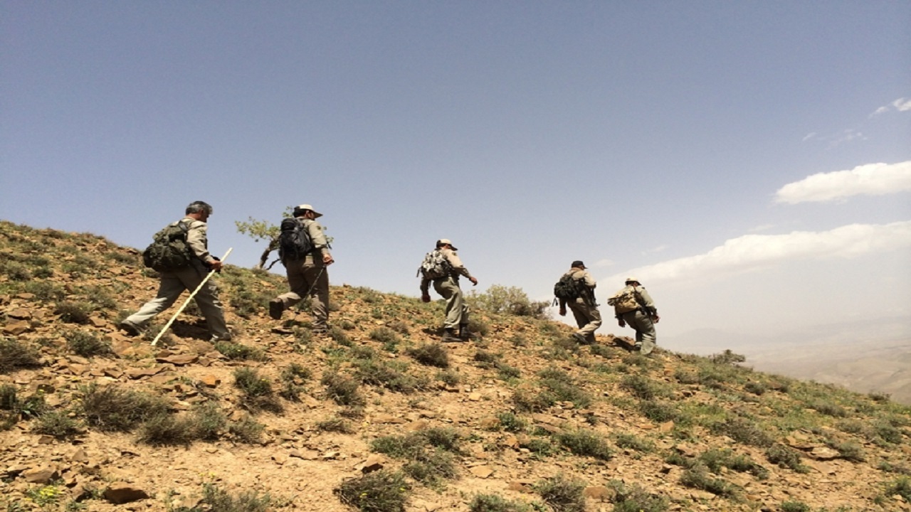 ۵ پاسگاه محیط بانی در استان زنجان به دلیل کمبود نیرو غیرفعال هستند