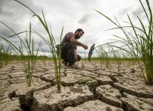 ۶۱ درصد از مساحت ایران تحت خشکسالی شدید