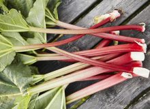 این گیاه حرکات روده‌ای را متعادل می‌کند