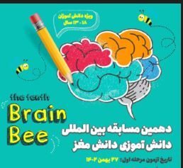 برگزاری مسابقه ملی دانش آموزی «دانش مغز» در سطح کشور