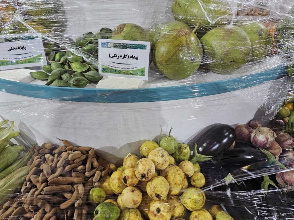 جذابیت خوراکی وغذاهای سیستان و بلوچستان در نمایشگاه گردشگری +فیلم - خبرگزاری مهر | اخبار ایران و جهان