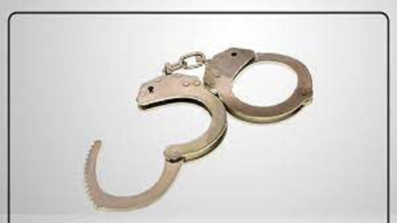 دستگیری ۱۴ نفر از اراذل و اوباش در تبریز