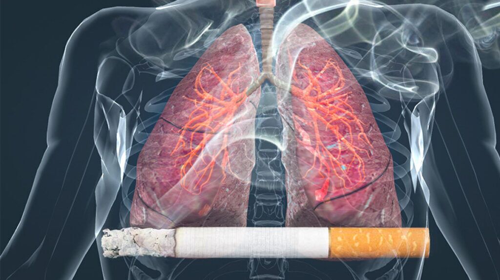 سایت انتخابت سایت انتخابن سایت انتخابب سایت انتخابا سایت انتخابک سایت انتخابو سایت انتخاب  سایت انتخابک سایت انتخابد سایت انتخابا سایت انتخابم سایت انتخاب  سایت انتخابق سایت انتخابس سایت انتخابم سایت انتخابت سایت انتخاب‌ سایت انتخابه سایت انتخابا سایت انتخابی سایت انتخاب  سایت انتخابب سایت انتخابد سایت انتخابن سایت انتخاب  سایت انتخابر سایت انتخابا سایت انتخاب  سایت انتخابب سایت انتخابی سایت انتخابش سایت انتخابت سایت انتخابر سایت انتخاب  سایت انتخابت سایت انتخابح سایت انتخابت سایت انتخاب  سایت انتخابت سایت انتخابا سایت انتخابث سایت انتخابی سایت انتخابر سایت انتخاب  سایت انتخابق سایت انتخابر سایت انتخابا سایت انتخابر سایت انتخاب  سایت انتخابم سایت انتخابی سایت انتخاب‌ سایت انتخابد سایت انتخابه سایت انتخابد سایت انتخاب؟ سایت انتخاب