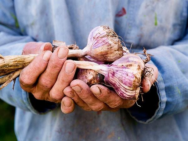 سایت انتخابم سایت انتخابز سایت انتخابی سایت انتخابت سایت انتخاب  سایت انتخابش سایت انتخابگ سایت انتخابف سایت انتخابت سایت انتخاب  سایت انتخابا سایت انتخابن سایت انتخابگ سایت انتخابی سایت انتخابز سایت انتخاب  سایت انتخابس سایت انتخابی سایت انتخابر سایت انتخاب  سایت انتخابب سایت انتخابر سایت انتخابا سایت انتخابی سایت انتخاب  سایت انتخابم سایت انتخابر سایت انتخابد سایت انتخابا سایت انتخابن سایت انتخاب؛ سایت انتخاب  سایت انتخابا سایت انتخابز سایت انتخاب  سایت انتخابک سایت انتخابا سایت انتخابه سایت انتخابش سایت انتخاب  سایت انتخابو سایت انتخابز سایت انتخابن سایت انتخاب  سایت انتخابت سایت انتخابا سایت انتخاب  سایت انتخابا سایت انتخابف سایت انتخابز سایت انتخابا سایت انتخابی سایت انتخابش سایت انتخاب  سایت انتخابم سایت انتخابی سایت انتخابل سایت انتخاب  سایت انتخابج سایت انتخابن سایت انتخابس سایت انتخابی سایت انتخاب