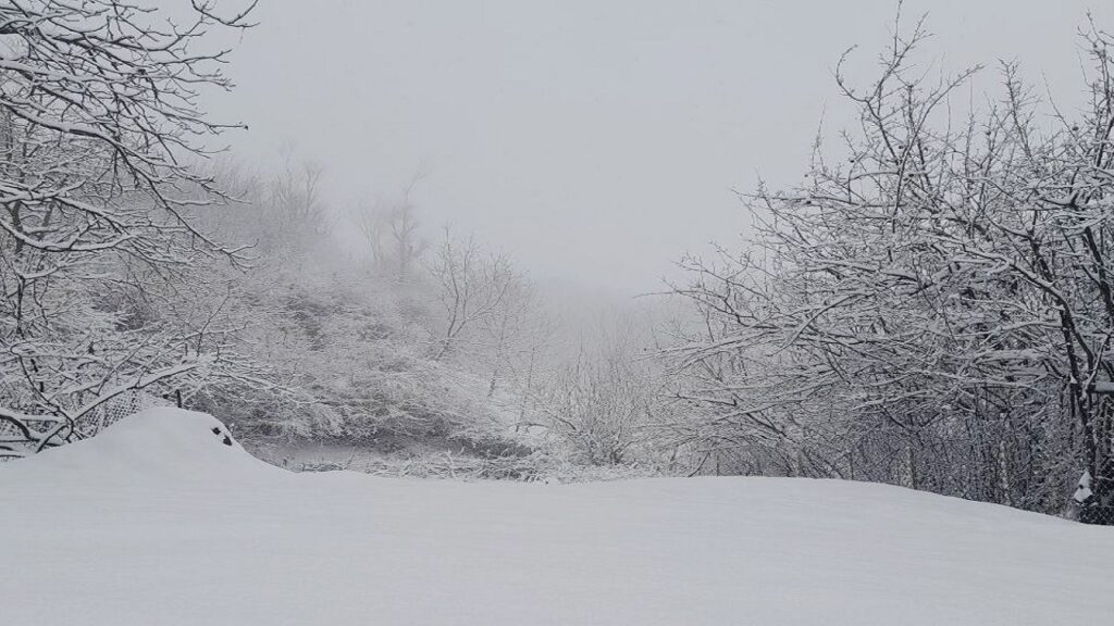 سرما و بارندگی تا پایان هفته در گیلان