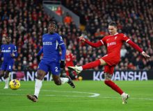 عکس| بدشانسی عجیب داروین: هت‌تریک تیرک!