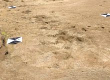 عکس| قدیمی‌ترین ردپای جهان را ببینید