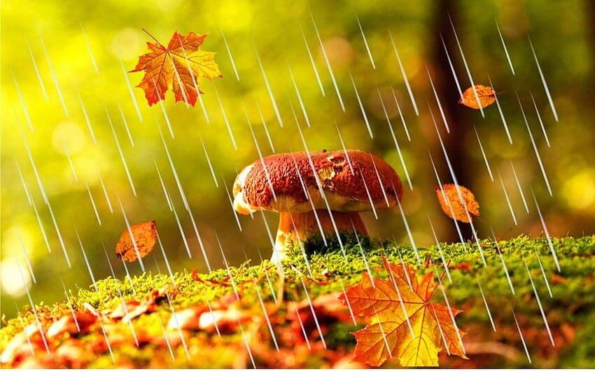 ورود سامانه بارشی به ایران از ظهر امروز