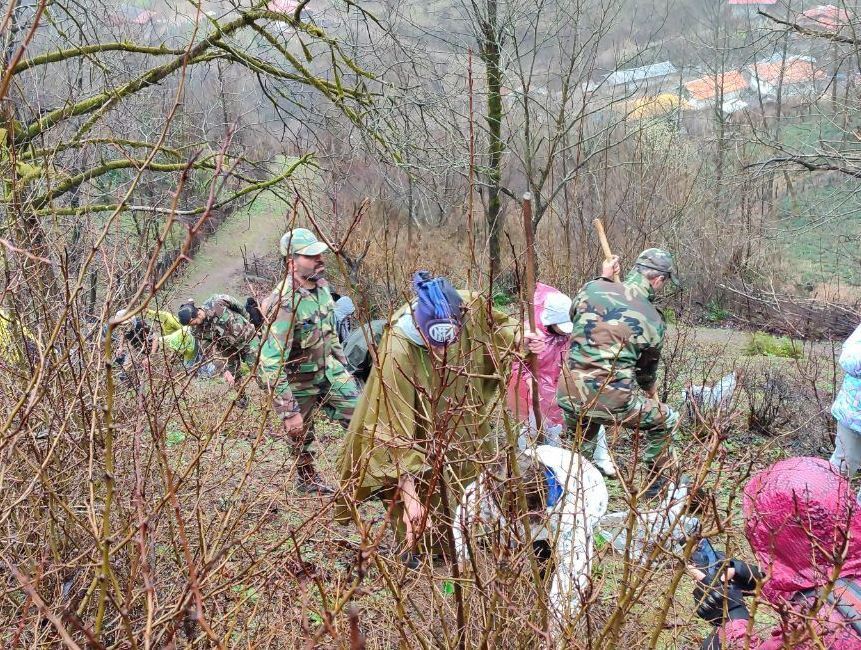 کاشت درخت در خطر انقراض شاه بلوط در شفت، گامی به سوی احیای گونه های هیرکانی