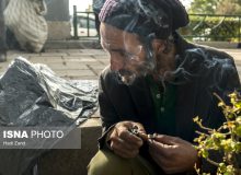 «گل»؛ اسمی خوشایند با عوارضی خطرناک/ اثرات مصرف شیشه بر مغز