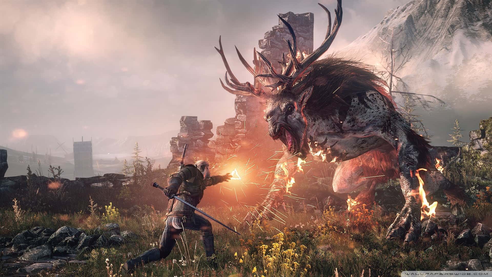 The Witcher 3
