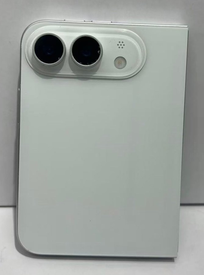 1000041317 Back of a light gray smartphone showing a dual-camera housing with two large lenses and a small flash/microphone cutout nearby.