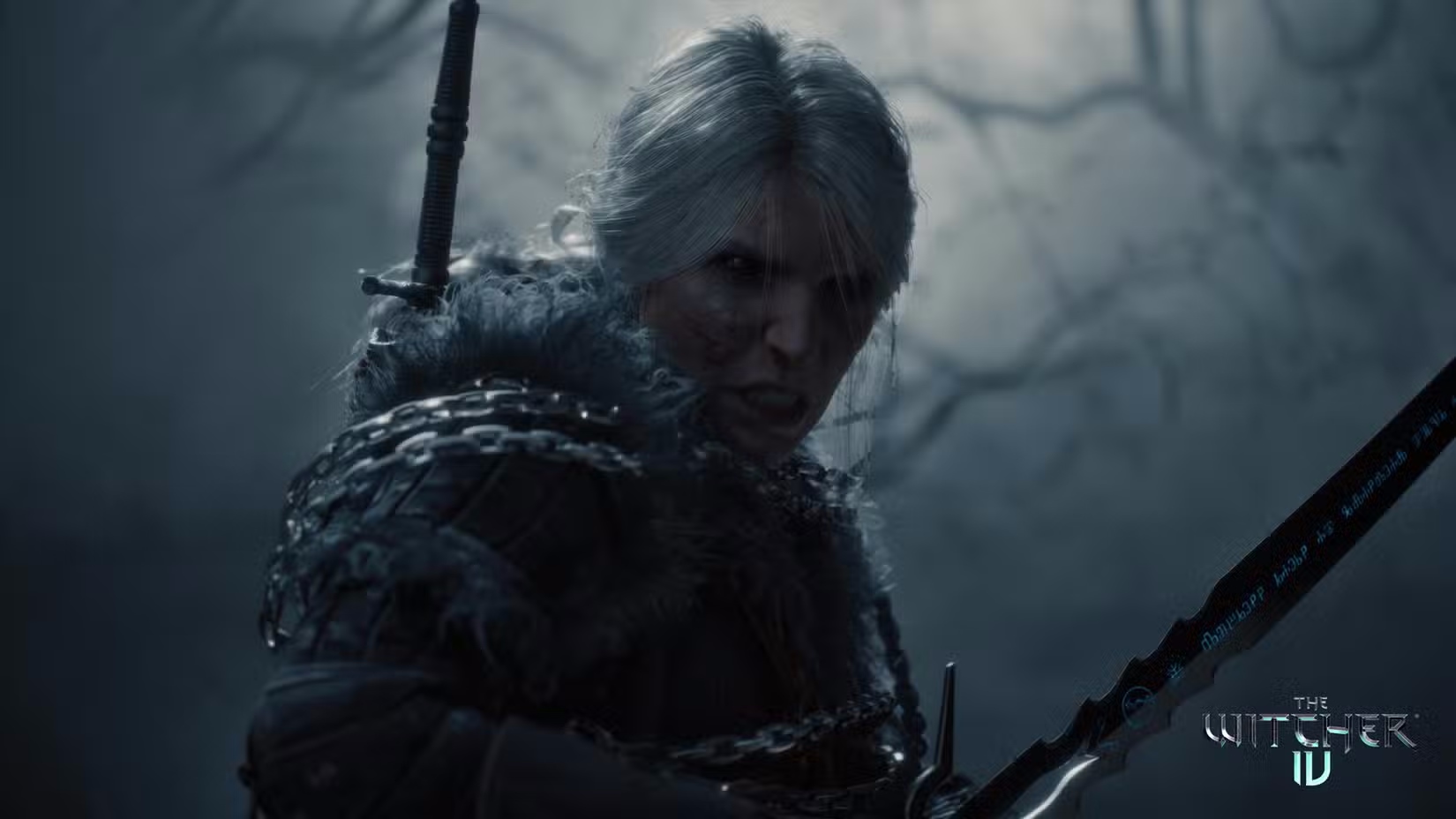 نسخه فیزیکی The Witcher 4 حتی در صورت حذف دیسک‌ها عرضه خواهد شد | لینک ۳۶۵